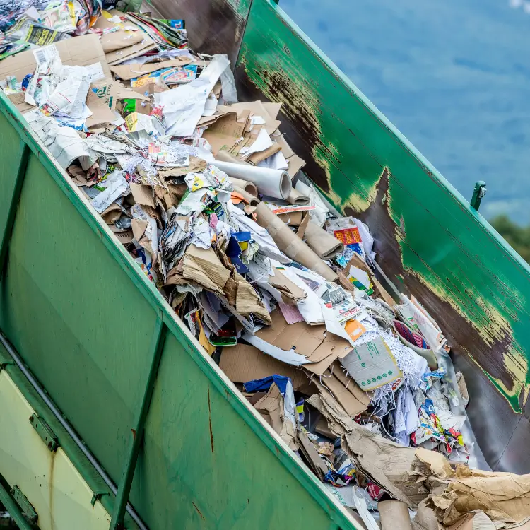 Landfill & Energy Recovery ZLX Technology