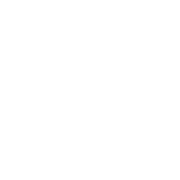 ZLX Footer Logo