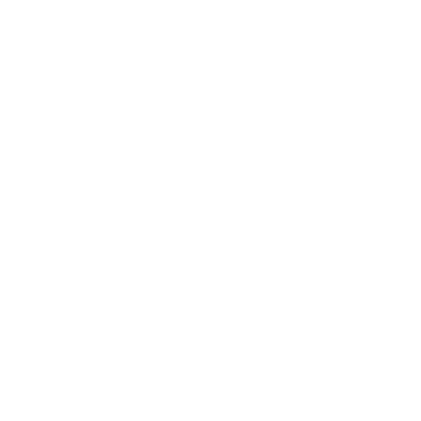 ZLX Logo
